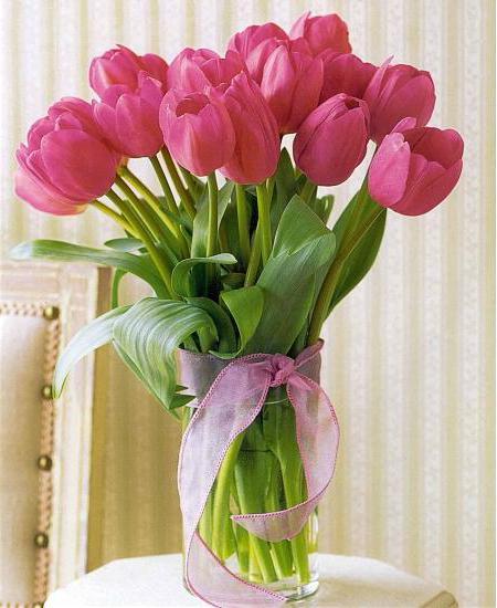 핑크 튤립 - 섬세하고 절묘한 꽃