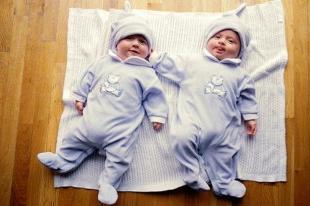 쌍둥이의 탄생에 대한 꿈은 무엇입니까?