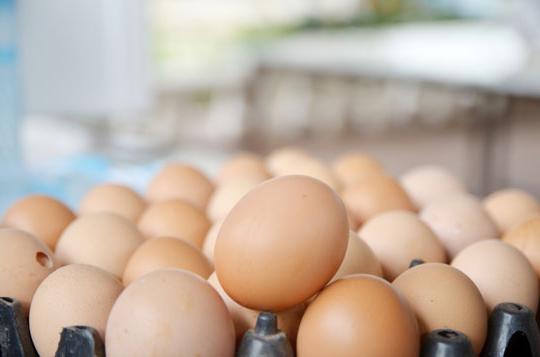 계란의 신선도를 결정하는 방법 : 몇 가지 알려진 방법