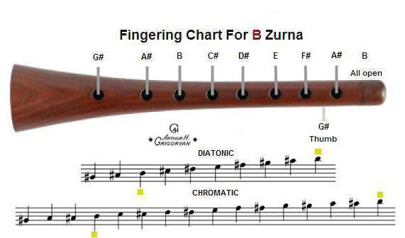 가장 오래된 악기, 또는 zurna 란 무엇인가?