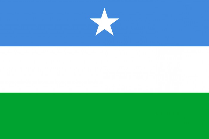 소말리아 국기는 어떻게 생겼습니까?