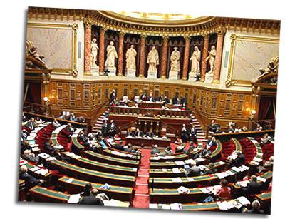 프랑스 헌법 : 구조와 특징