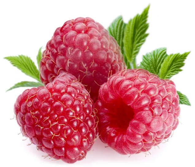 Berry Raspberry : 유용한 특성 및 금기 사항
